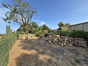 Garden- click for photo gallery